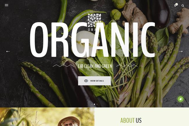 Vegetarian and Vegan Restaurant Websites