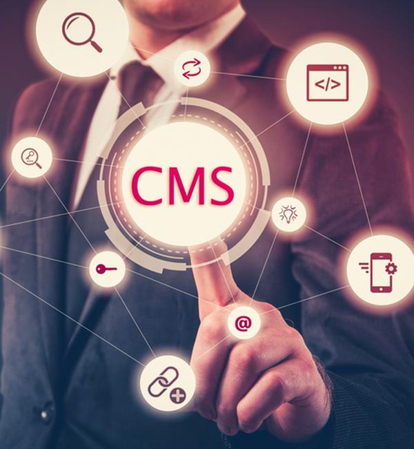 Website Editor Bolt On CMS